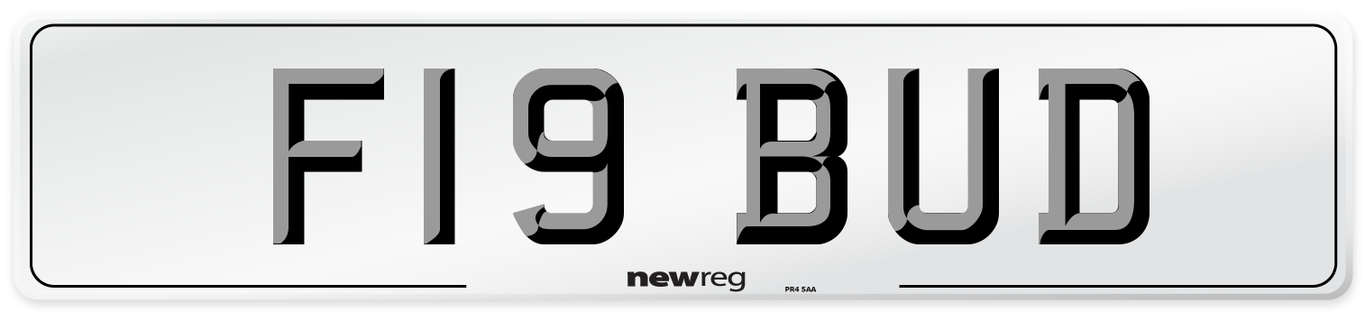 F19 BUD Number Plate from New Reg